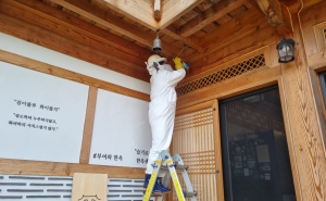 벌 쏘임 구급 출동 연평균 619건 ‘주의’